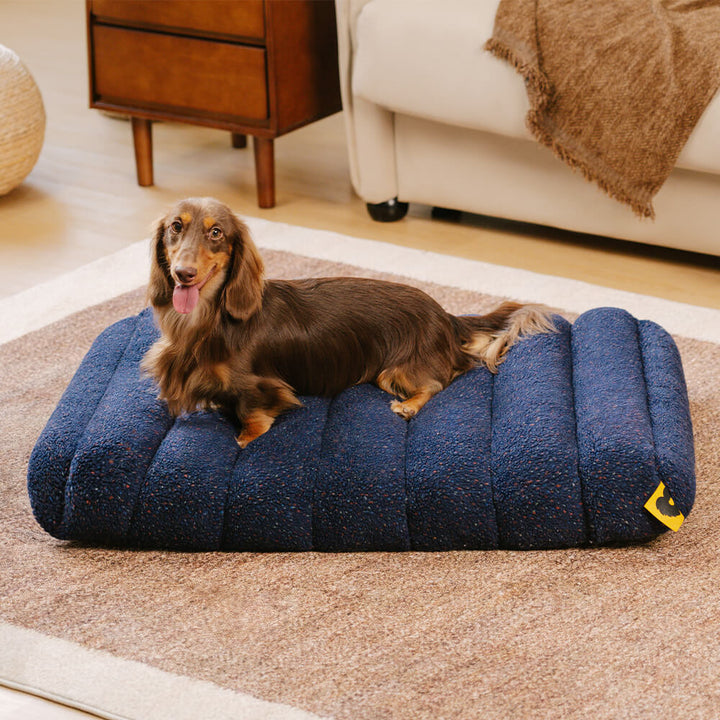 Creamy memory foam dog bed, comfortable and supportive, all seasons.