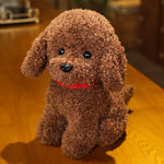 dark brown