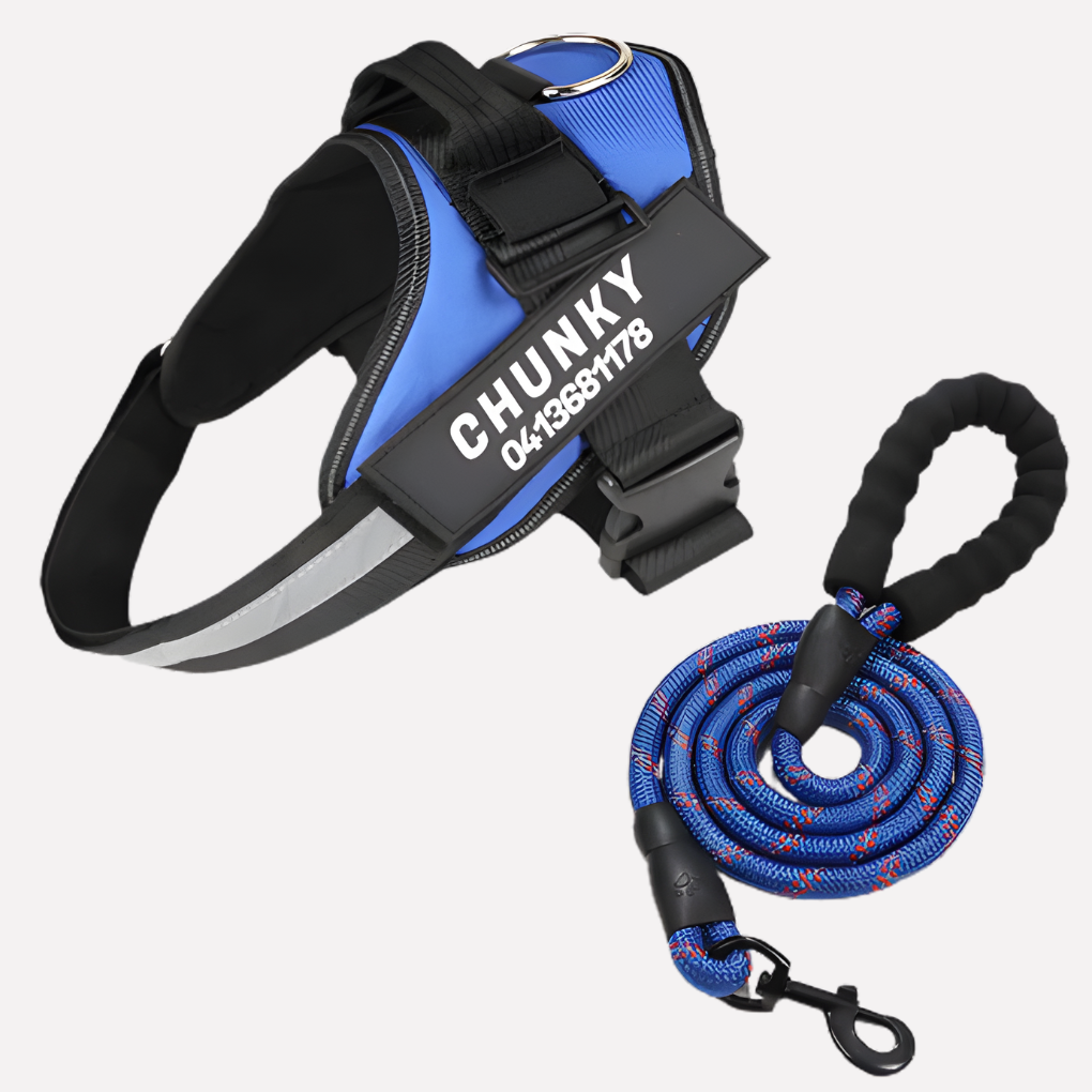 Customizable anti-pull dog harness for effective training and comfortable daily walks. Ideal for pet owners.