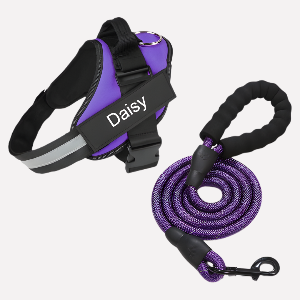 Adjustable anti-pull training harness for all dog sizes: puppy, small, large. Ensures comfort & control.