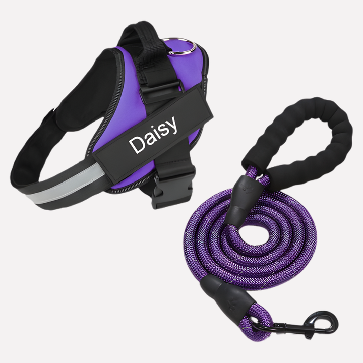 Adjustable anti-pull training harness for all dog sizes: puppy, small, large. Ensures comfort & control.
