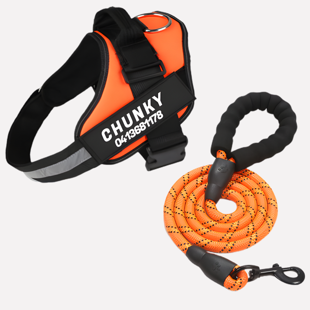 Effective anti-pull dog harness designed for pet training, promoting better leash manners & pleasant walks.