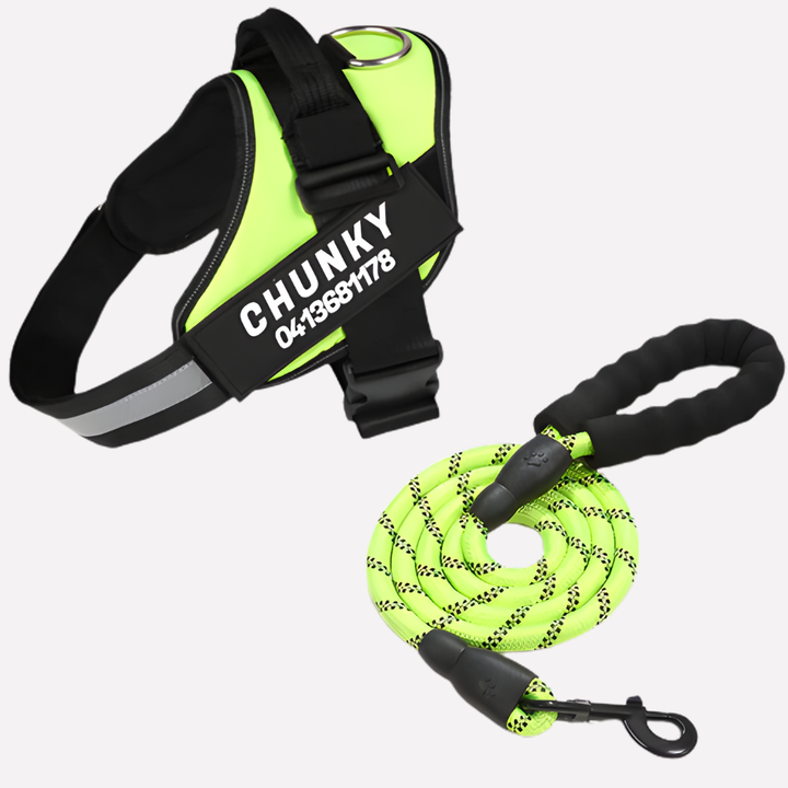 Secure, no-pull dog harness for safe pet training & everyday dog walking. Customizable for a perfect fit.