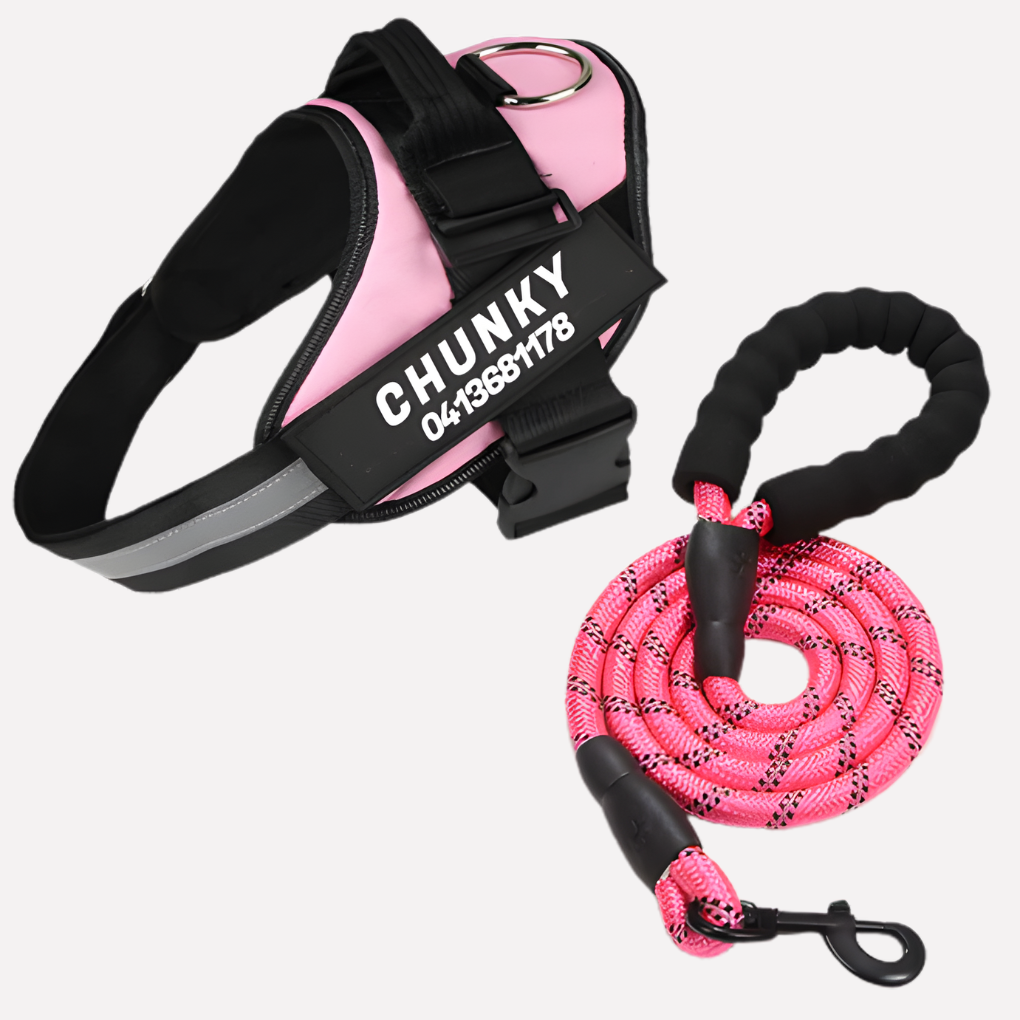 Breathable, customizable anti-pull dog harness, perfect for comfortable dog walking & pet training sessions.