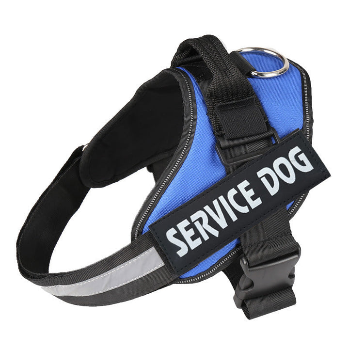 Premium no-pull dog harness, personalized and adjustable for a comfortable, stress-free dog walking experience.