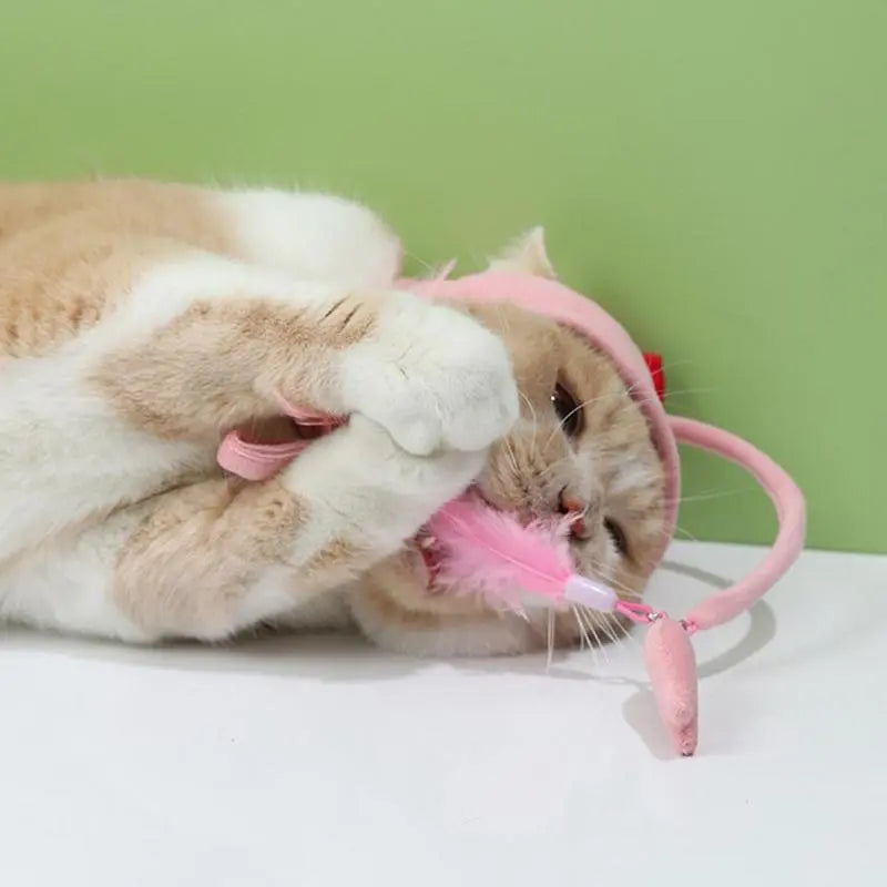 Close-up of a cat hat with playful feather, designed as an interactive cat toy for enrichment.