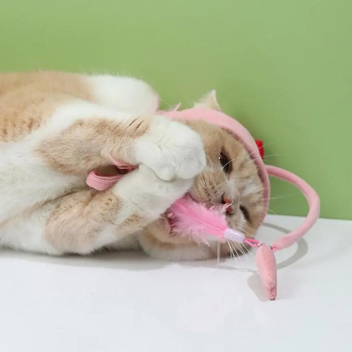 Close-up of a cat hat with playful feather, designed as an interactive cat toy for enrichment.