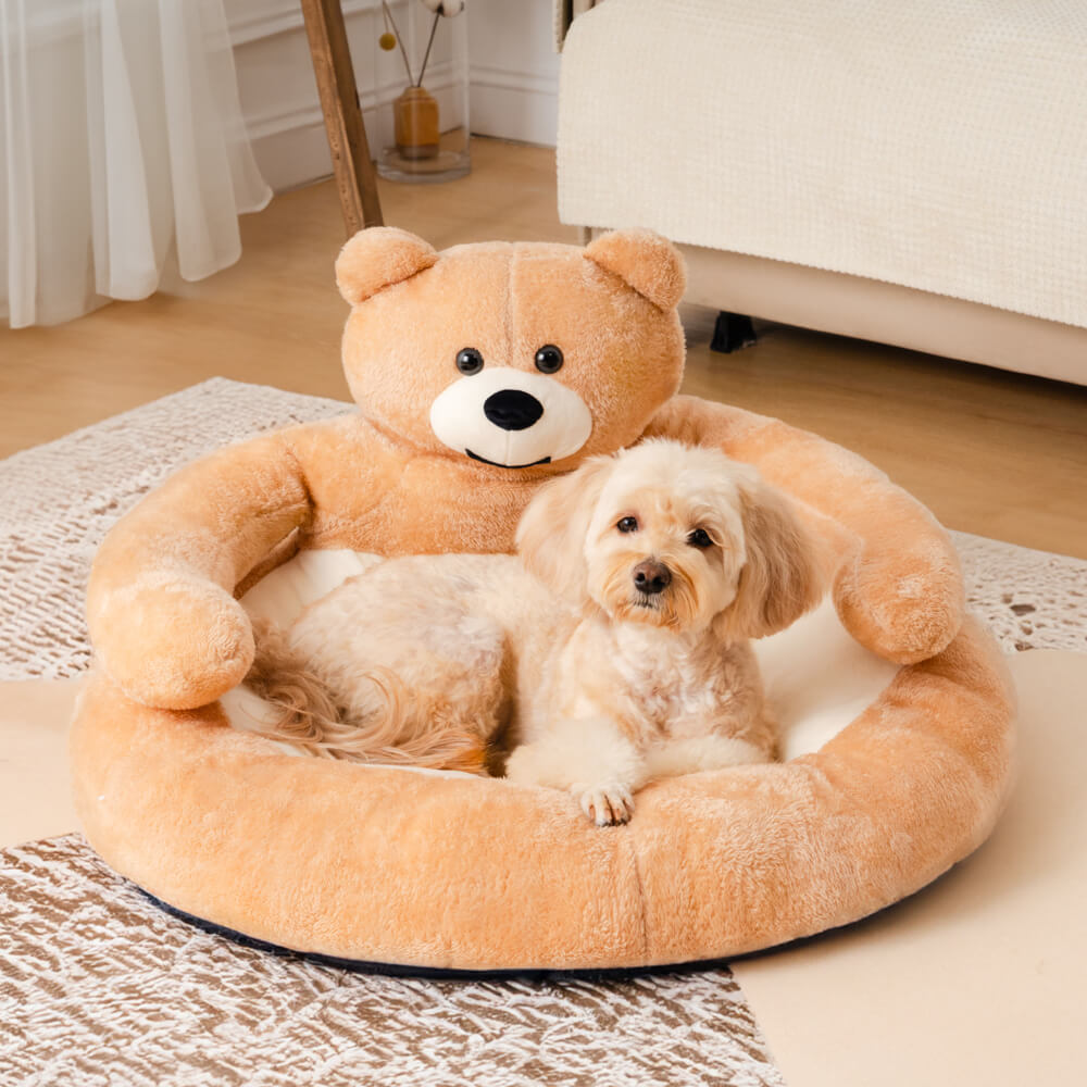 Cozy cat bed featuring a charming bear design; detachable and ideal pet furniture for relaxation