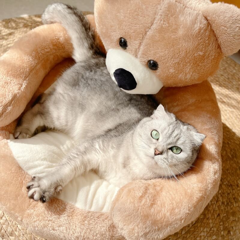 Cat napping soundly in a cute bear-shaped bed; soft, cozy pet furniture for ultimate comfort
