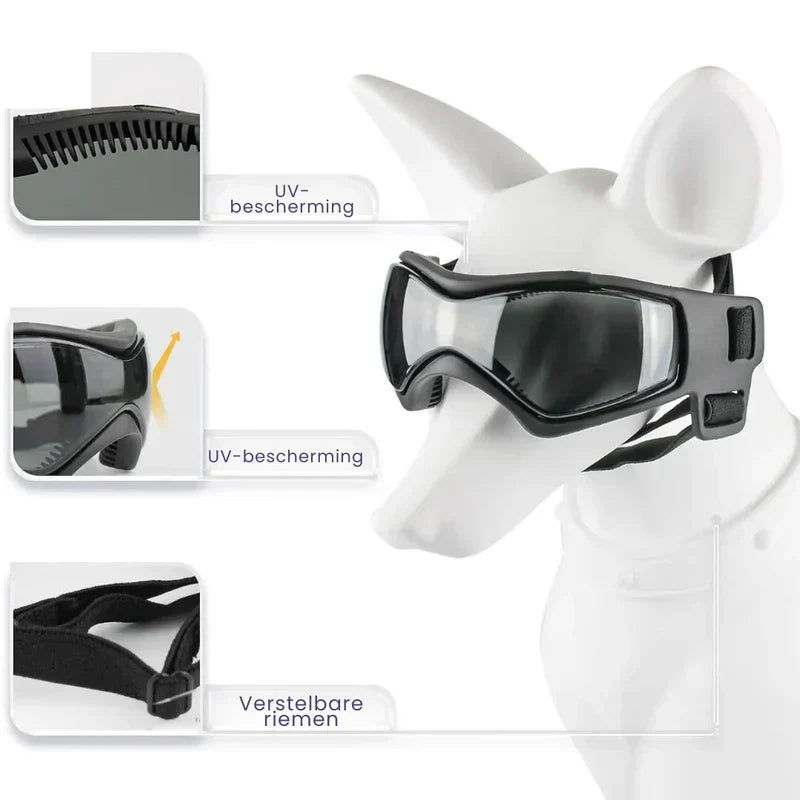 Side view of dog wearing adventure-ready helmet and goggles for eye protection
