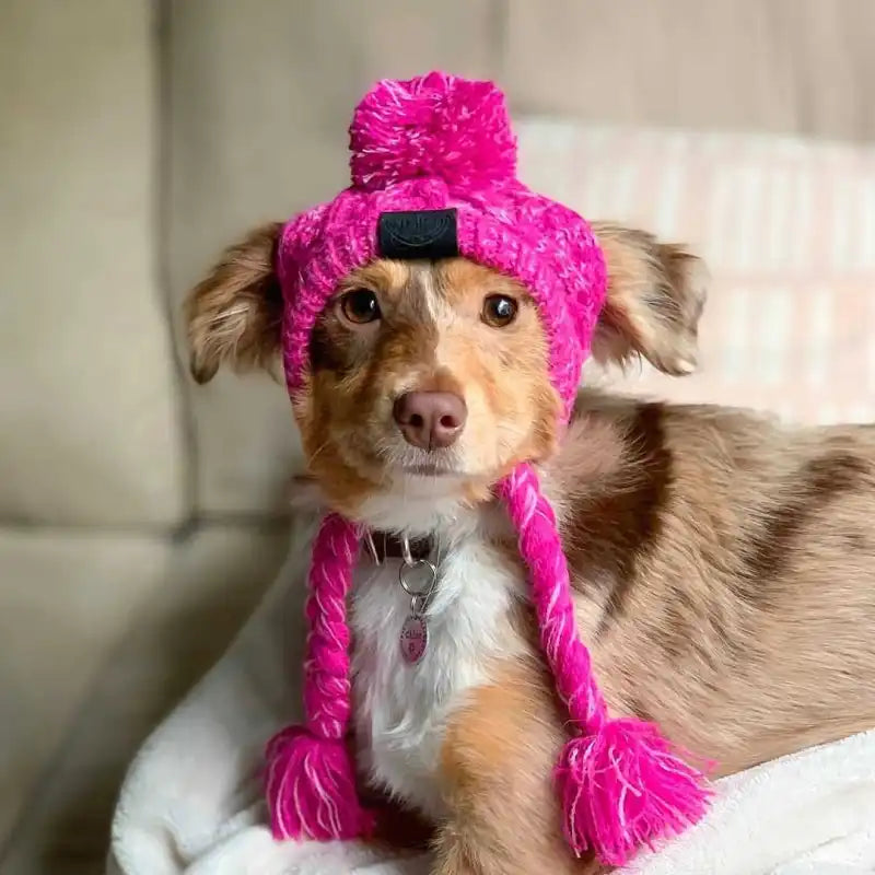 Cute dog wearing a pink knitted pet hat with double pompoms and pigtails, perfect for winter pet clothing.