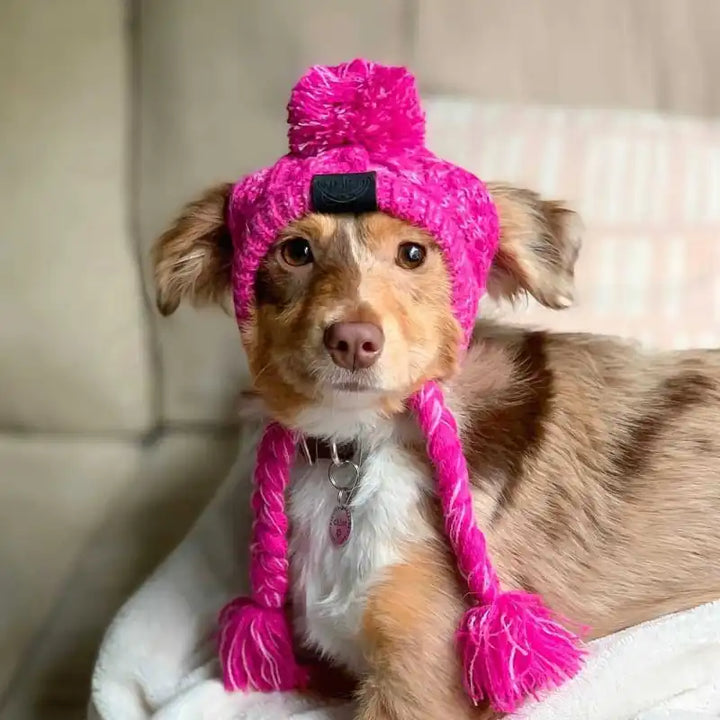 Cute dog wearing a pink knitted pet hat with double pompoms and pigtails, perfect for winter pet clothing.