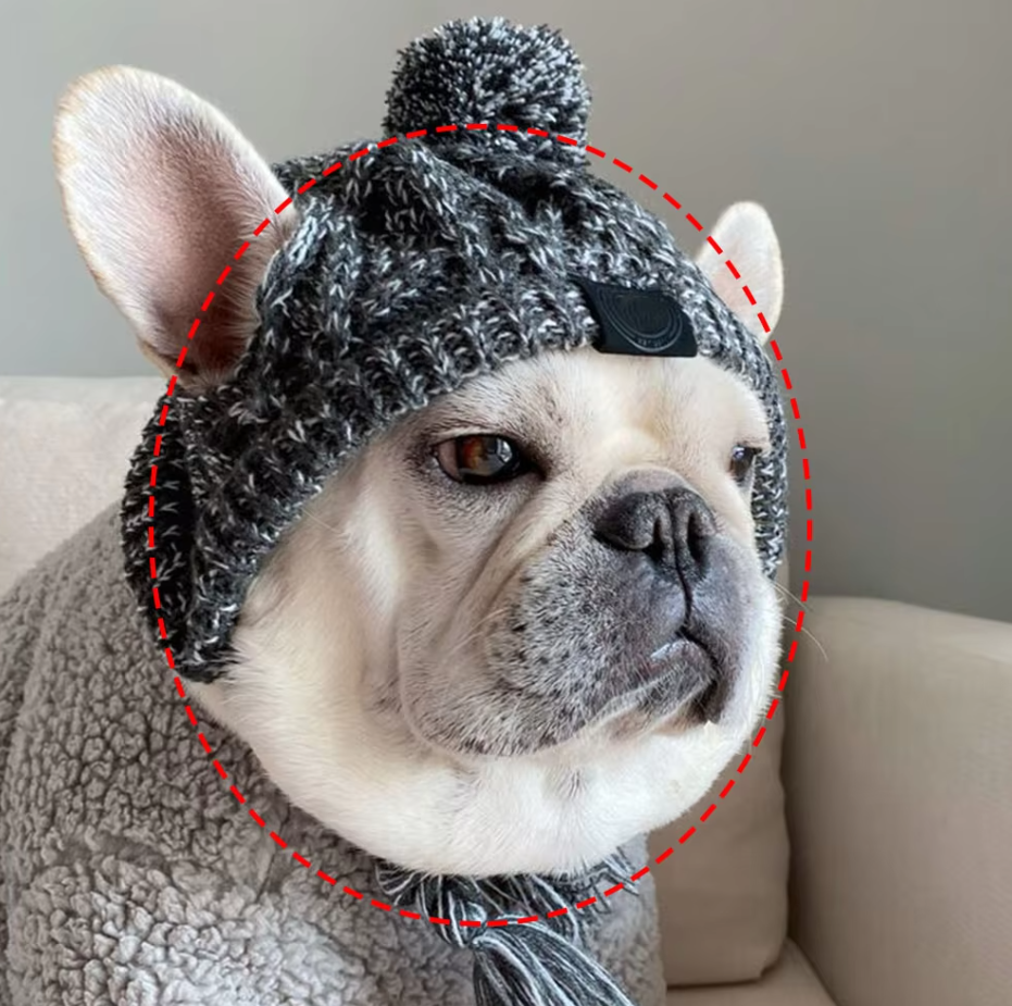 Close-up of a pet knitted hat in green with prominent pigtails and a soft pompom, ideal for cold weather pets.