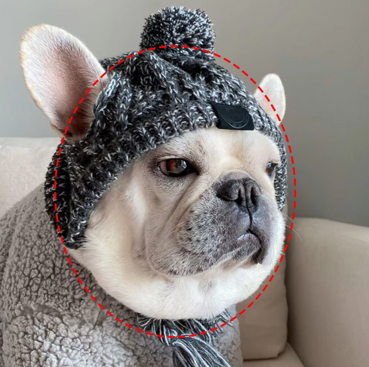 Close-up of a pet knitted hat in green with prominent pigtails and a soft pompom, ideal for cold weather pets.