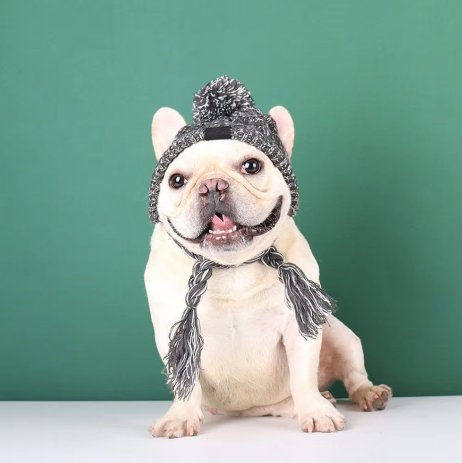 Adorable cat wearing a yellow knitted pet hat with fun pigtails and a fluffy pompom, stylish pet clothing.