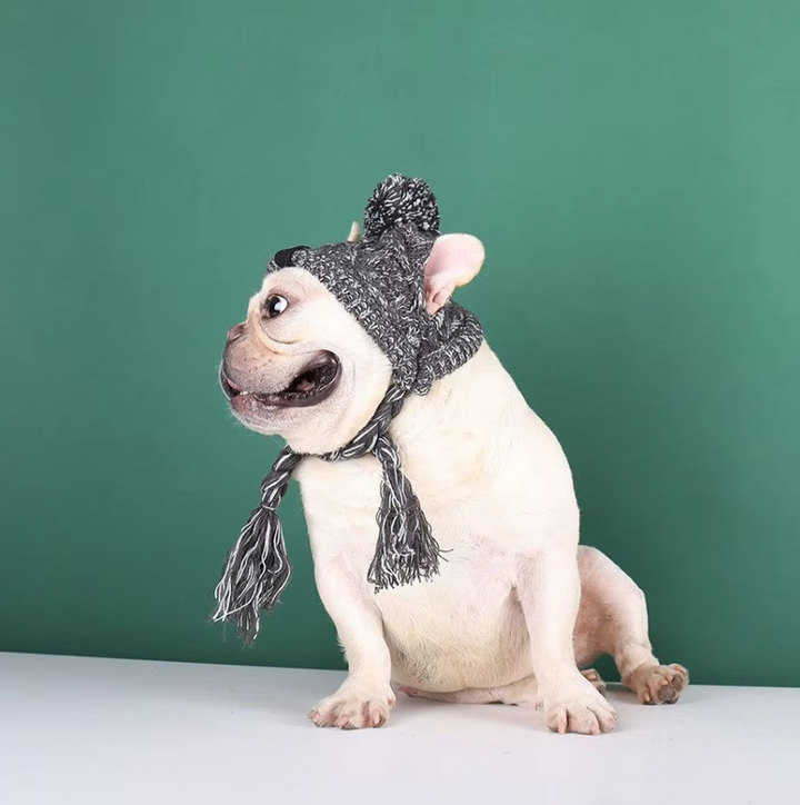 Puppy in a red knitted pet hat with pigtails and a single pompom, a warm and cute pet accessory.