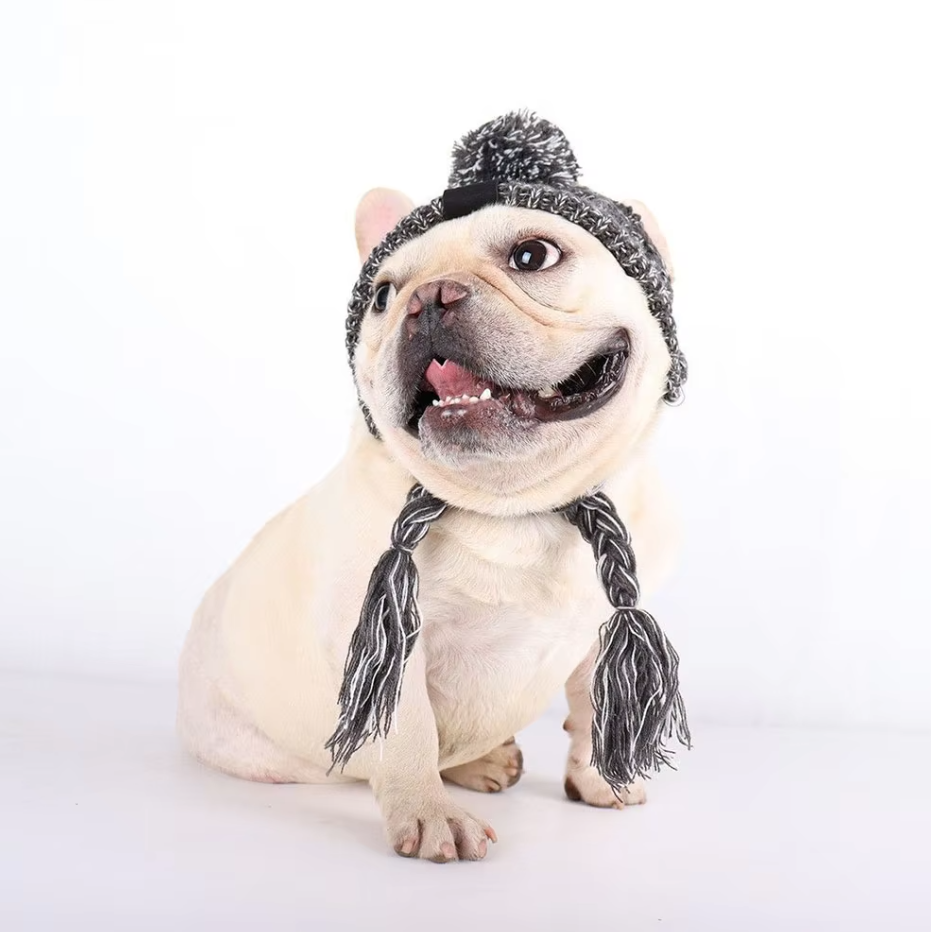 Pet knitted hat in multi-color yarn, featuring cute pigtails and a plush pompom, winter pet fashion.