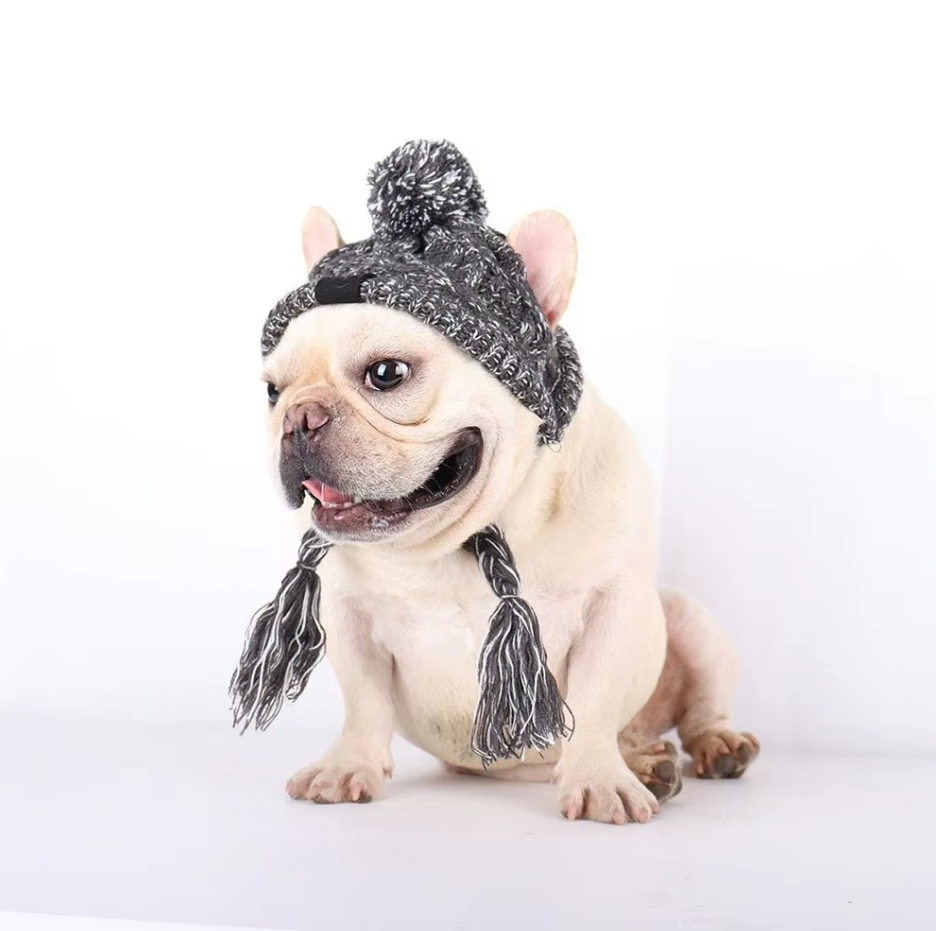 Happy dog wearing a light blue knitted pet hat with pigtails and a classic pompom, comfortable pet clothing.