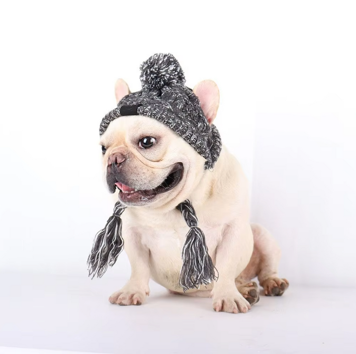 Happy dog wearing a light blue knitted pet hat with pigtails and a classic pompom, comfortable pet clothing.