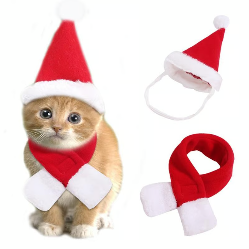Dog wearing a full pet Christmas hat and scarf set, looking ready for winter pet festivities, animal accessories