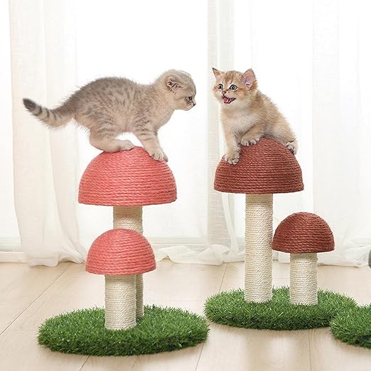 Cute mushroom cat scratcher with sisal surface for feline play and furniture protection