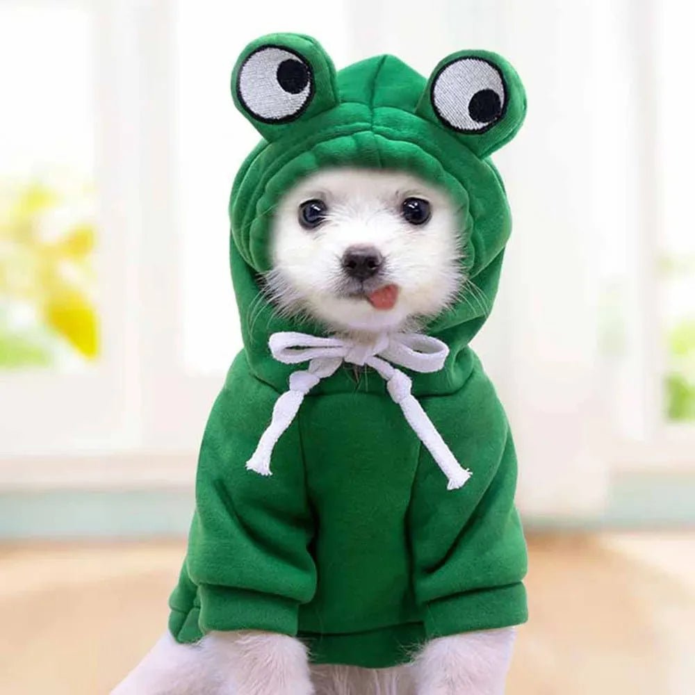 Unisex pet frog fleece hoodie with soft lining, ideal for autumn and winter