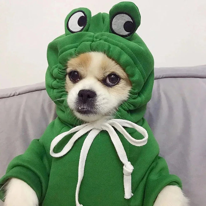 Green frog-themed pet sweatshirt, comfortable dog apparel or cat clothing