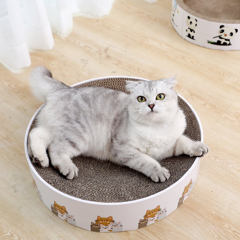 Cute round cat scratching mat, durable surface for claw care, protects furniture.