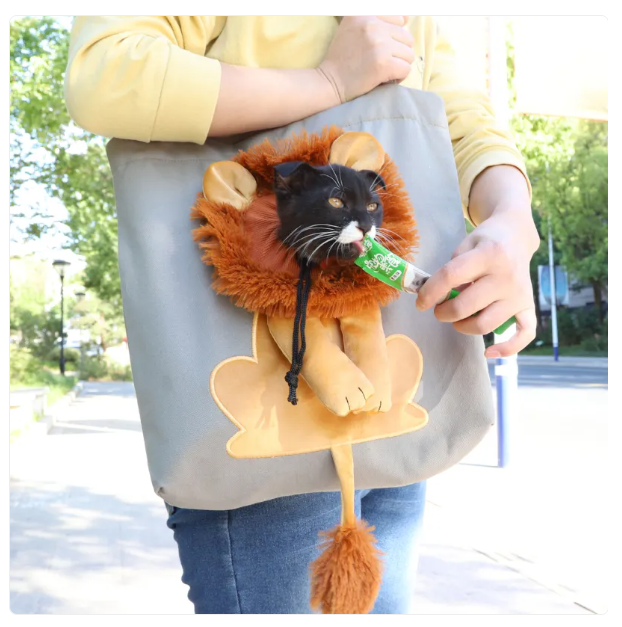 Dark grey cat carrier travel bag with cute lion design, perfect for comfortable car pet travel and cat supplies.