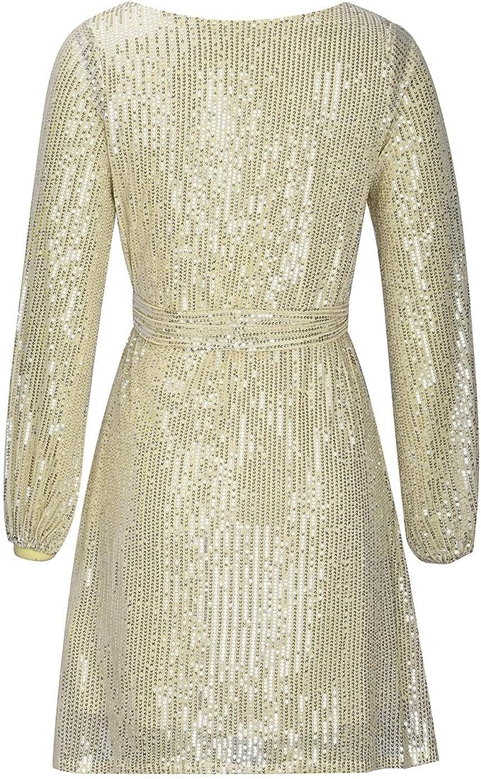 Back view of a dazzling sequin mini party dress. Shows loose fit, shimmer, and women's fashion style.