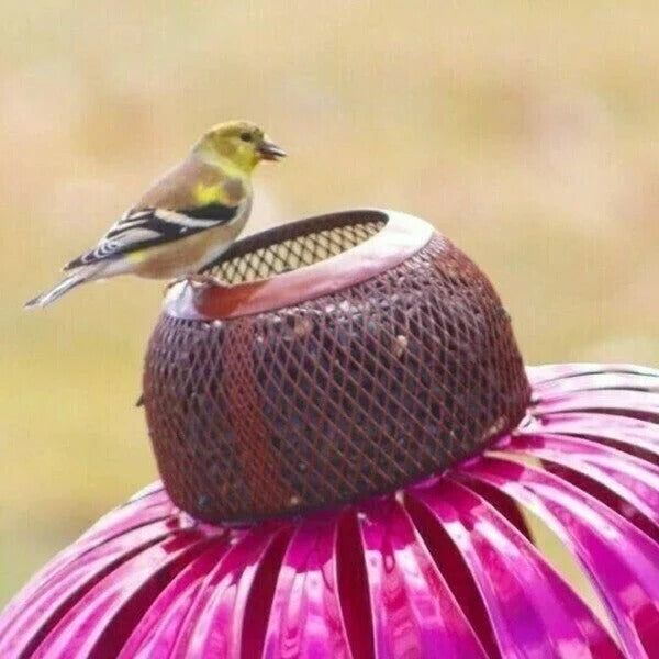 Elegant metal coneflower bird feeder, a charming piece of garden decor and essential bird accessory.
