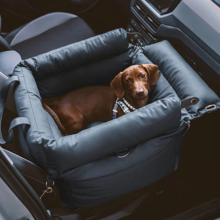 Dog booster car seat, sturdy and portable, ensures pet safety & comfort for small dogs