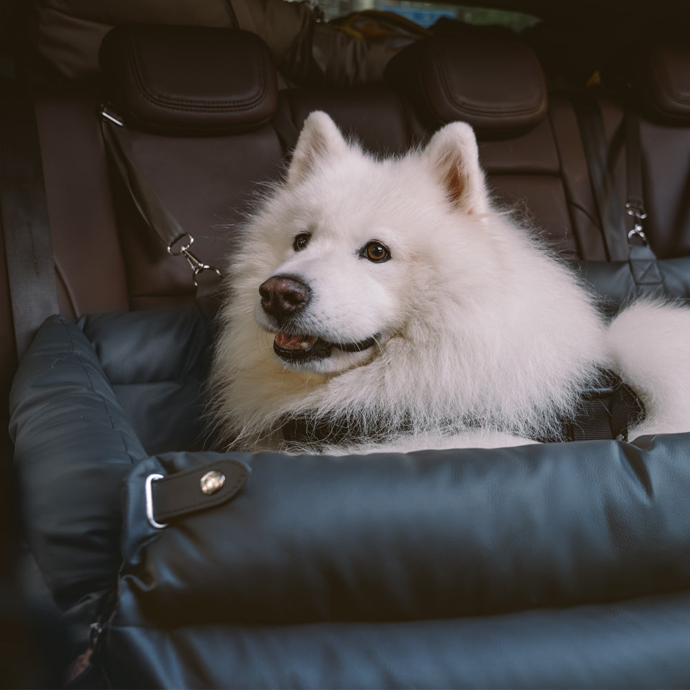 Secure faux leather dog car booster bed, black, keeping pets safe on drives