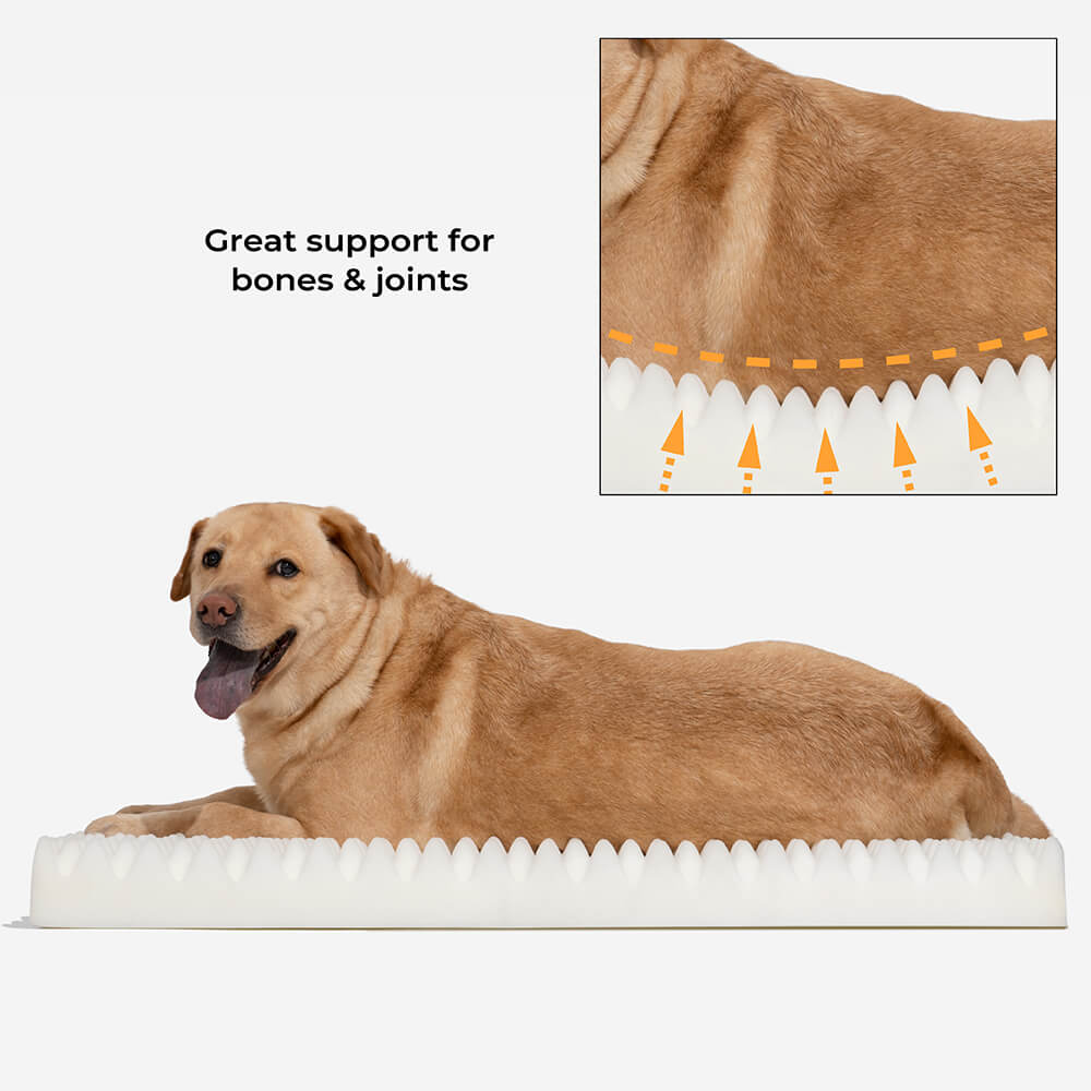 Supportive dog bed for large breeds, fluffy and comfortable
