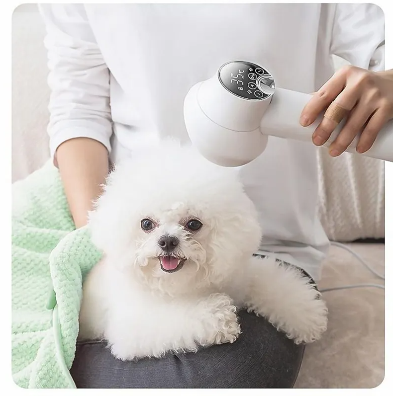 Digital display hair dryer with smart temperature control for fast, gentle drying