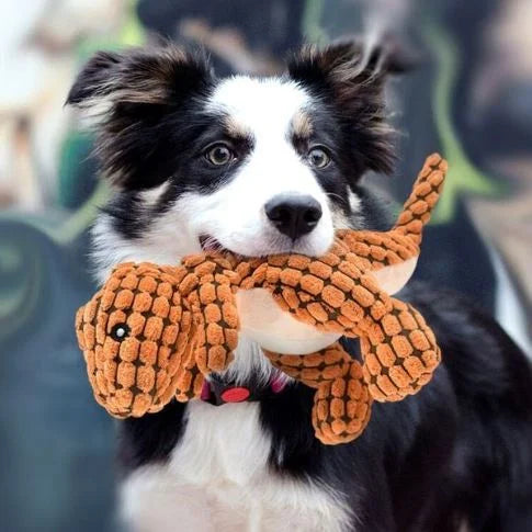 Eco-friendly dinosaur plush chew toy for dogs. Green, durable pet toy for comfort and interactive play.