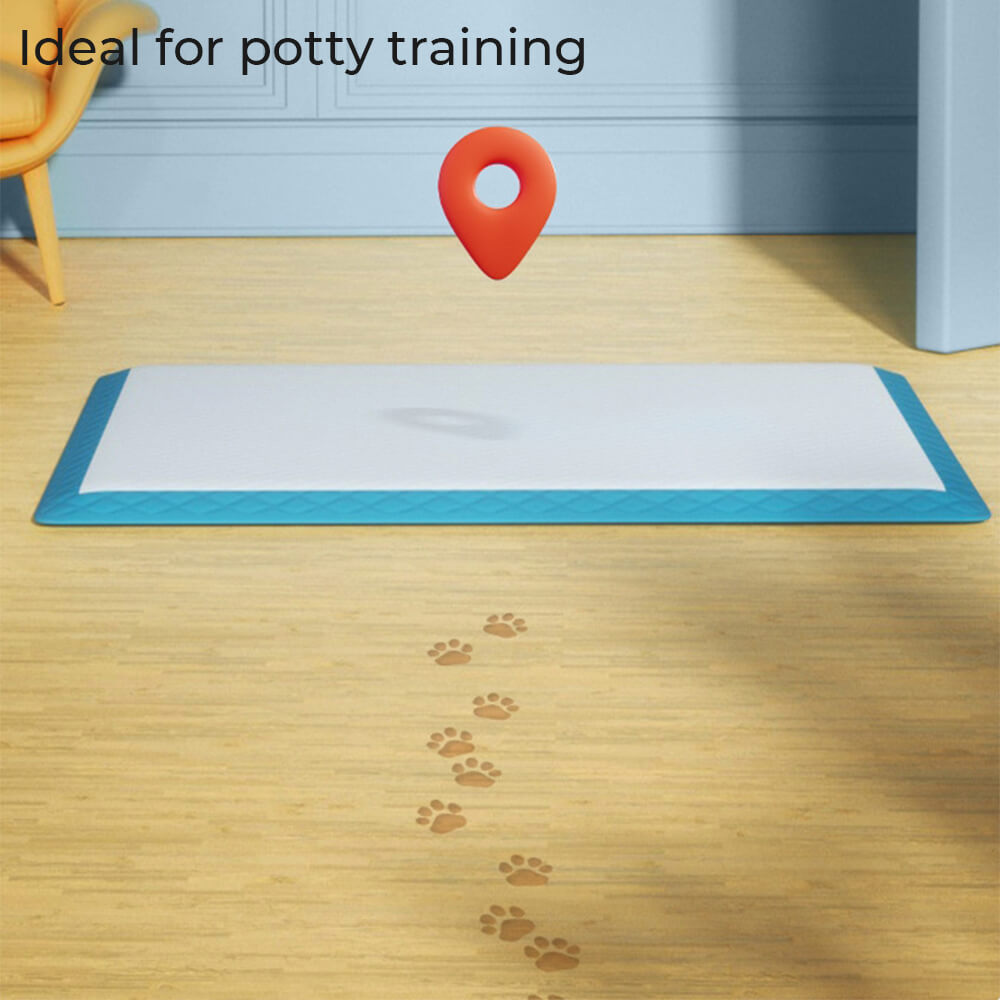 A puppy sitting on a disposable pet training pad, demonstrating its use for easy and clean potty training.