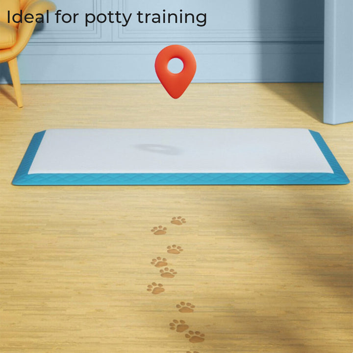 A puppy sitting on a disposable pet training pad, demonstrating its use for easy and clean potty training.