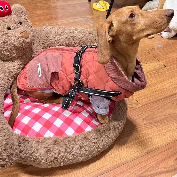 Warm dog apparel: yellow 3-in-1 winter coat with integrated harness, pet essentials