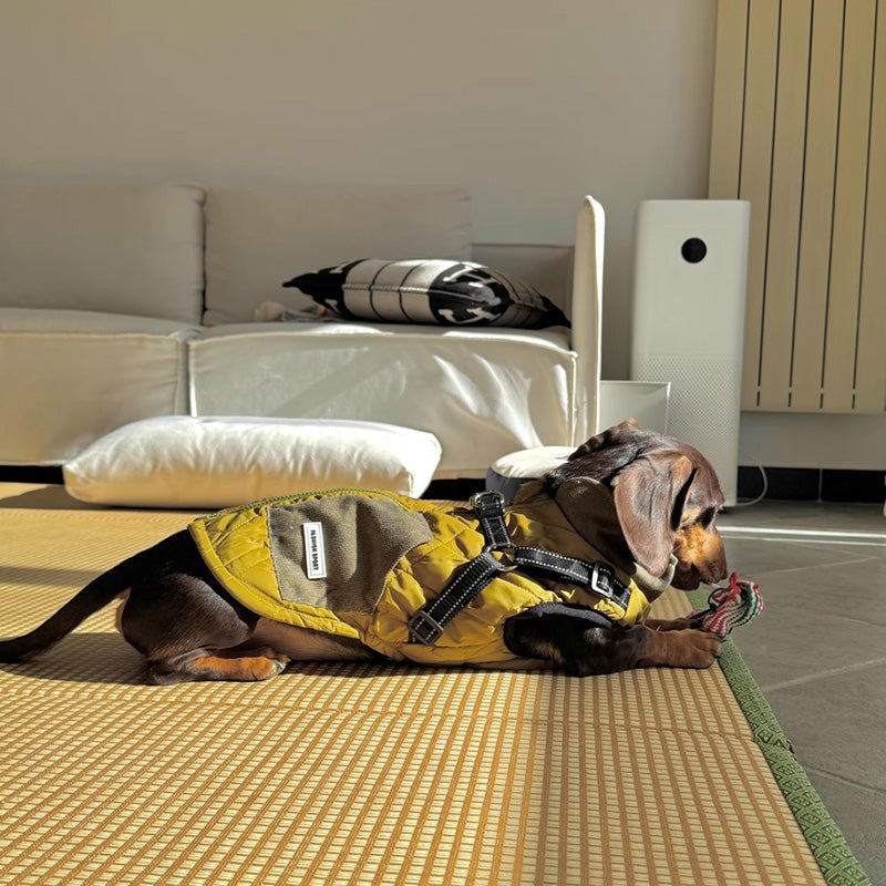 Dog accessories: 3-in-1 winter coat with integrated harness, red, waterproof dog jacket