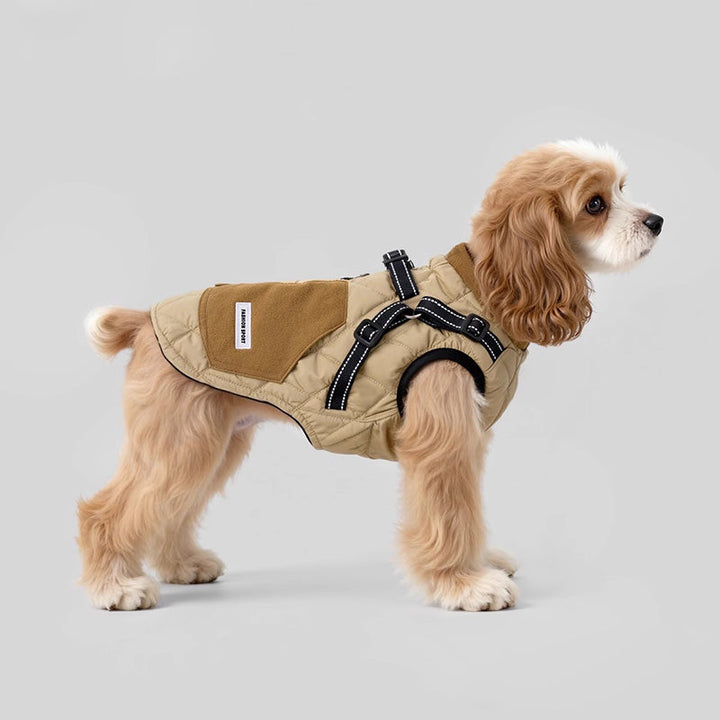 Pet accessories: green dog winter jacket with integrated harness, warm dog clothing