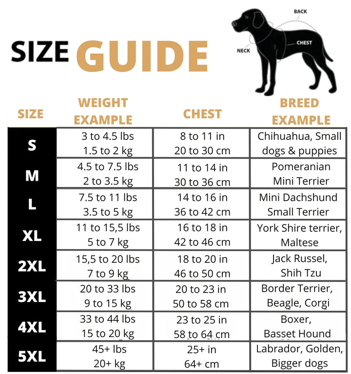Dog harness coat: purple 3-in-1 winter jacket, waterproof and warm dog clothing