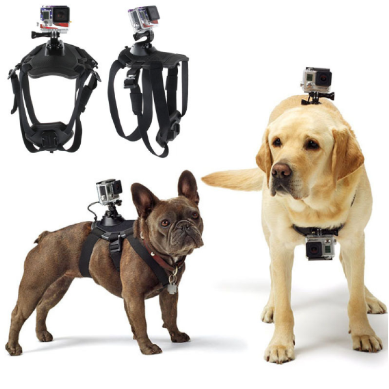 Dog action camera harness for GoPro with adjustable chest and back mounts for capturing adventures