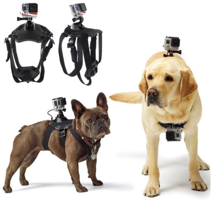 Dog action camera harness for GoPro with adjustable chest and back mounts for capturing adventures