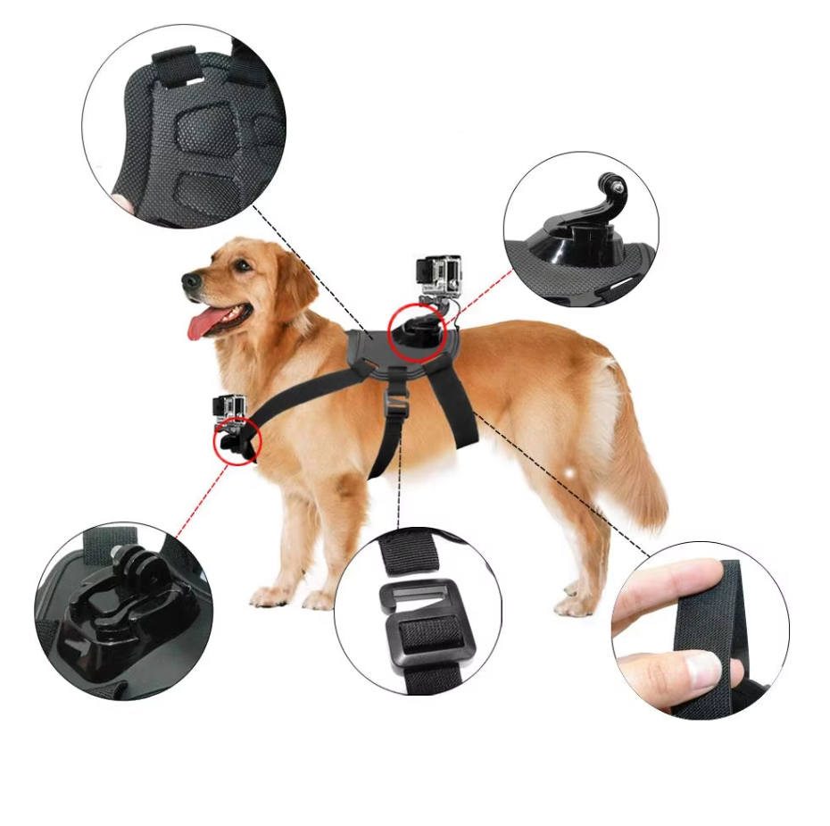 Black dog camera harness, durable design with secure back mount for action cameras