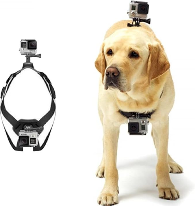 Adventure dog harness with dual camera mounts, perfect for attaching action cams on walks or hikes