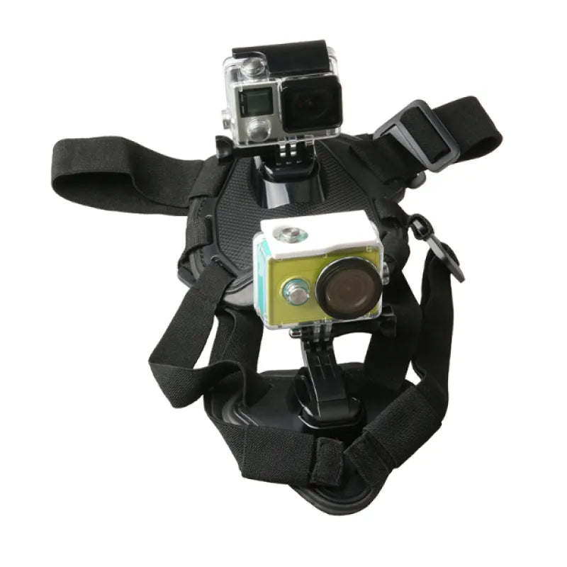 Adjustable pet camera harness, compatible with most action cameras, for dog's perspective videos