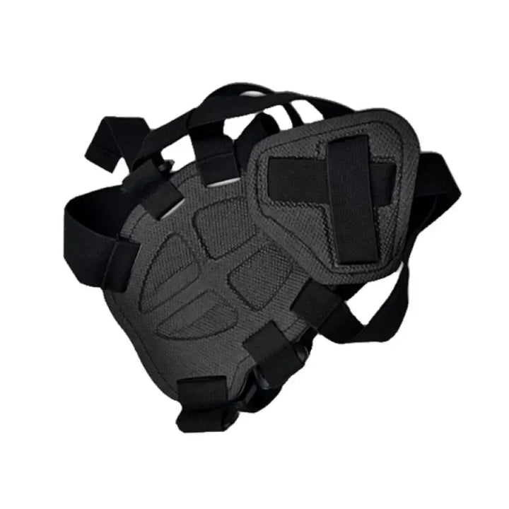 Hands-free dog camera harness, allowing owners to record their dog's activities easily and securely