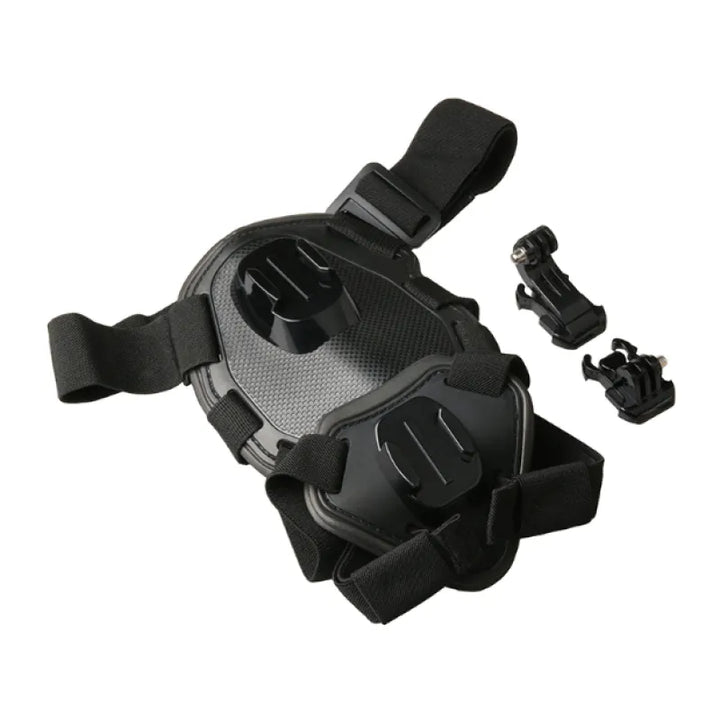 Rugged dog camera harness, providing stability for action cameras during active outdoor excursions