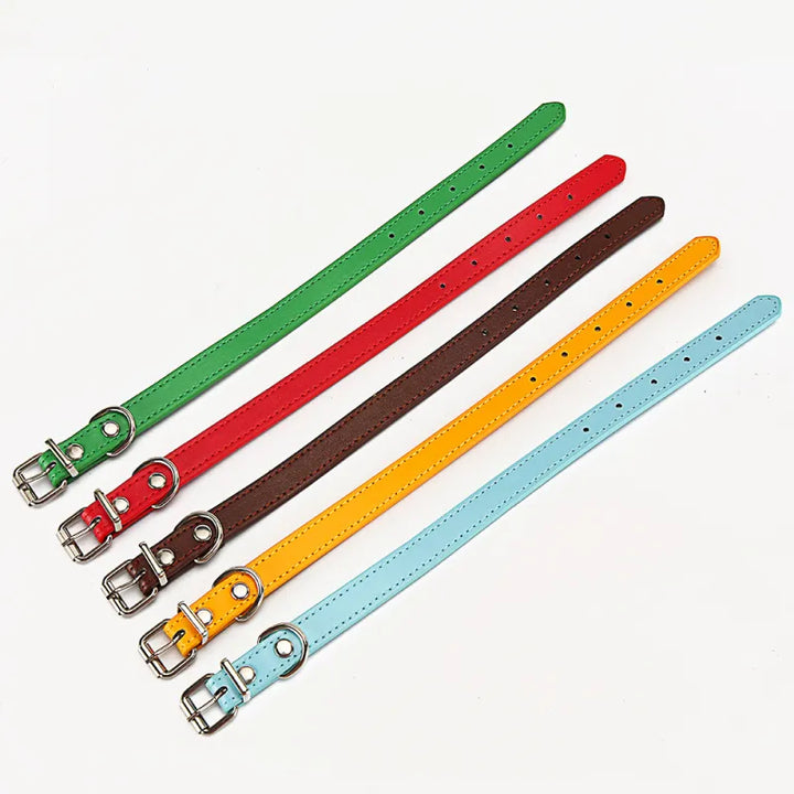 Dog adjustable durable genuine leather collar, pet accessory for small to medium dogs